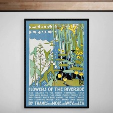 Flowers of the Riverside River Thames Mole Wey Lea Travel Giclée Print Poster