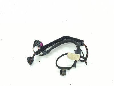 Volkswagen Passat B6 2007 Left Wiring Harness Wiring Kit Front Door 3C0365GD