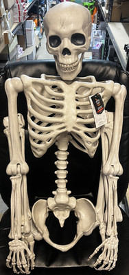 60'' Posable Skeleton Halloween Decorative Mannequin - Hyde & EEK! Boutique NEW