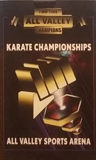 Cobra Kai - All Valley Champions Johnny & Daniel 7” Action Figure 2-Pack