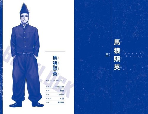 BLUELOCK Aryu / Barón / Yukimiya novela japonesa BLUE LOCK de Japón - Imagen 3 de 5