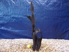 Large Driftwood 23"x07"x05" Aquarium Terrarium Reptile Natural Art
