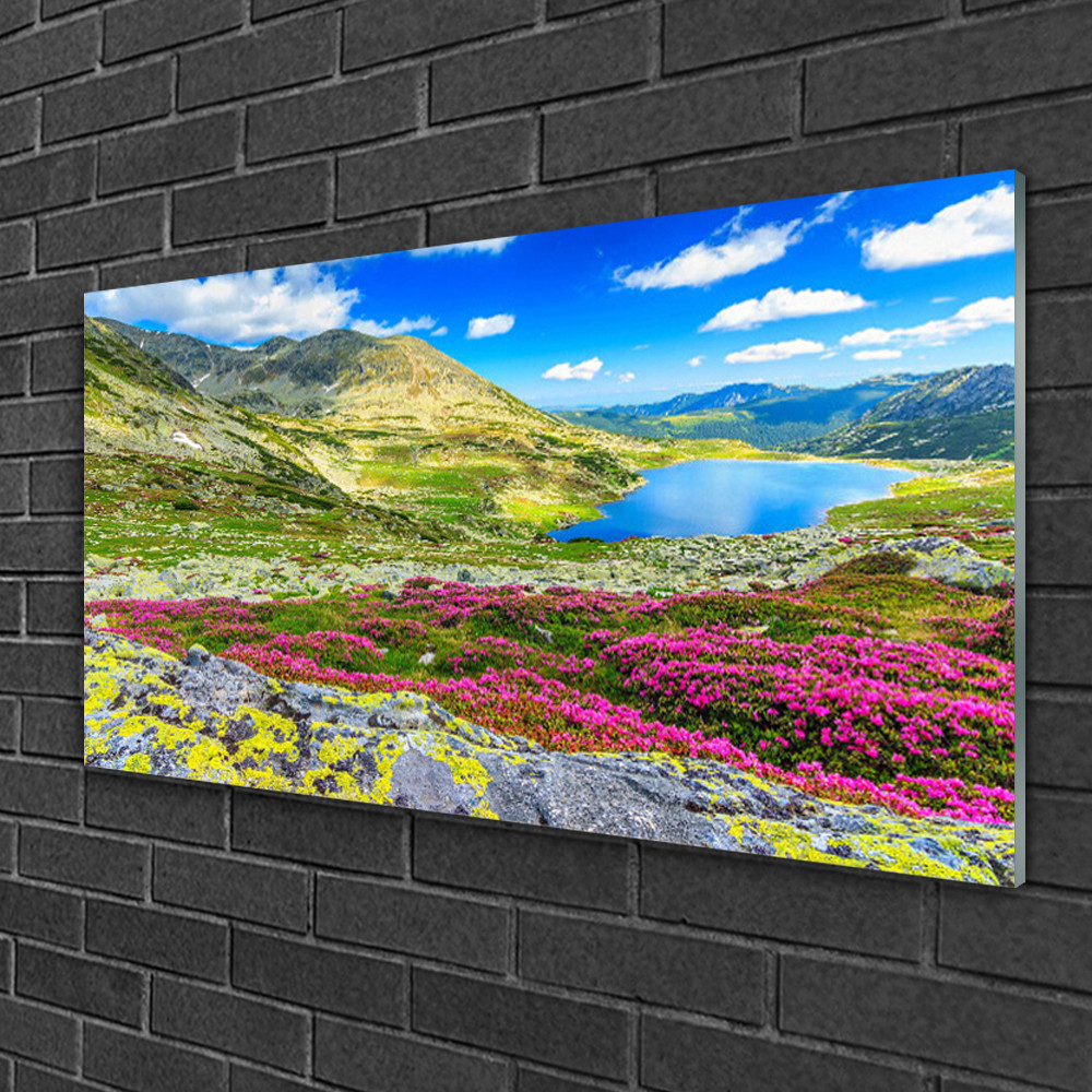 Tableau sur verre nature de 100x50 cm pour décorer un salon lumineux