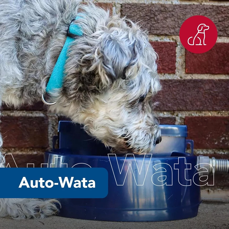 Coastal Pet Bergan Auto-Wata - Água externa para cães e gatos 4,75 lb, azul  - Imagem 2 de 4