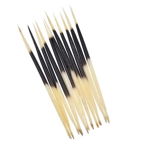 10stk Stachelschwein Federkiele Stick Schwimmt Angeln Bobber Making DIY Bastel - Bild 12 von 13
