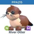 River Otter - Adopt your pets