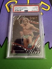 2022 Select Ringside Zebra Prizm Ultimate Warrior PSA 10 SSP