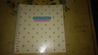 Vintage Window Vinyl Clings Storage Book & CLINGS Easter Halloween  Christmas