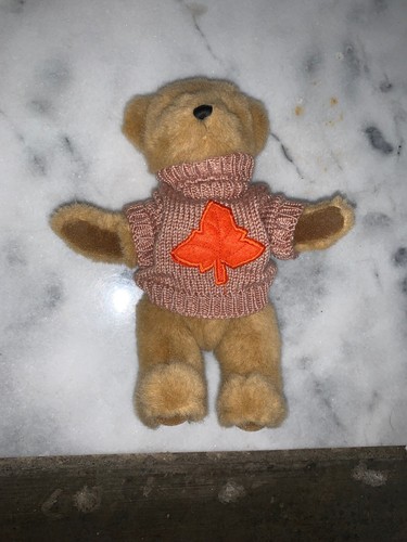 Maple Leaf Spielzeug Plüsch Gelenke 9 Zoll goldbraun Teddybär orange Pullover Kanada - Bild 11 von 12
