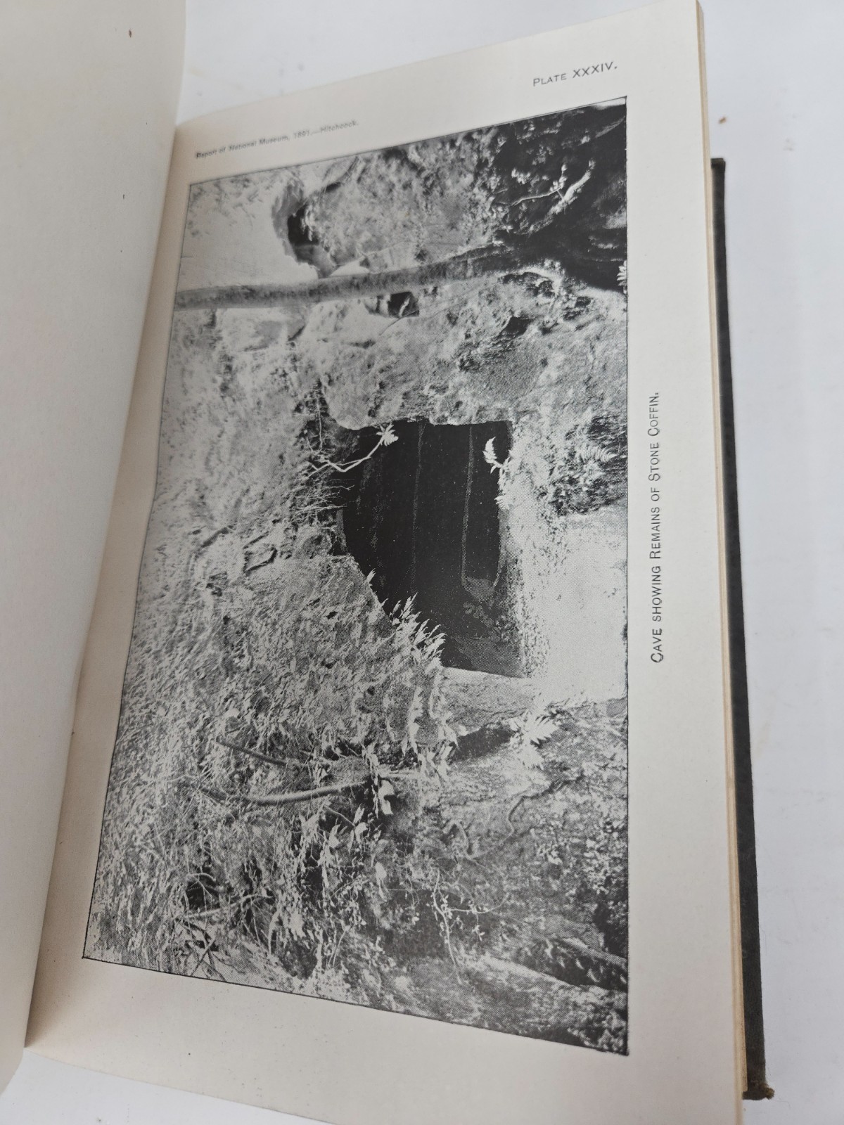Picture 7 of 8