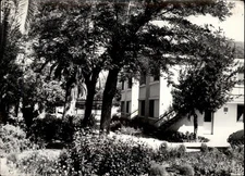 RPPC Tivat Montenegro Hotel vintage postcard x358