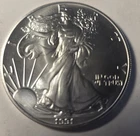1991 American Silver Eagle Tube 1 oz .999-ACTION FOR 1 COIN!-Gem  Uncirculated-