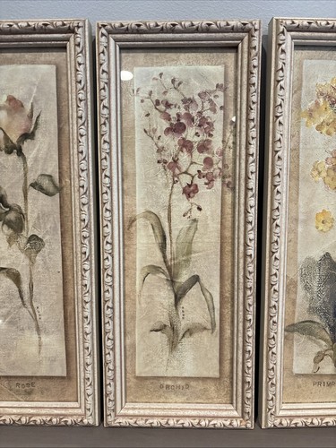 4 stampe orchidea arte da parete con cornice Cheri Blum giardino fiorito 13” x 5” ciascuna - Foto 3 di 6