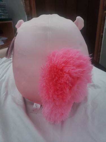 NEW Lane Squishmallows 12" Valentine's Squirrel Plush Stuffed Animal Toy 2023 - 第 3/4 張圖片