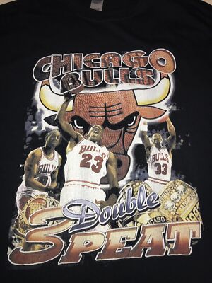 chicago bulls double three peat