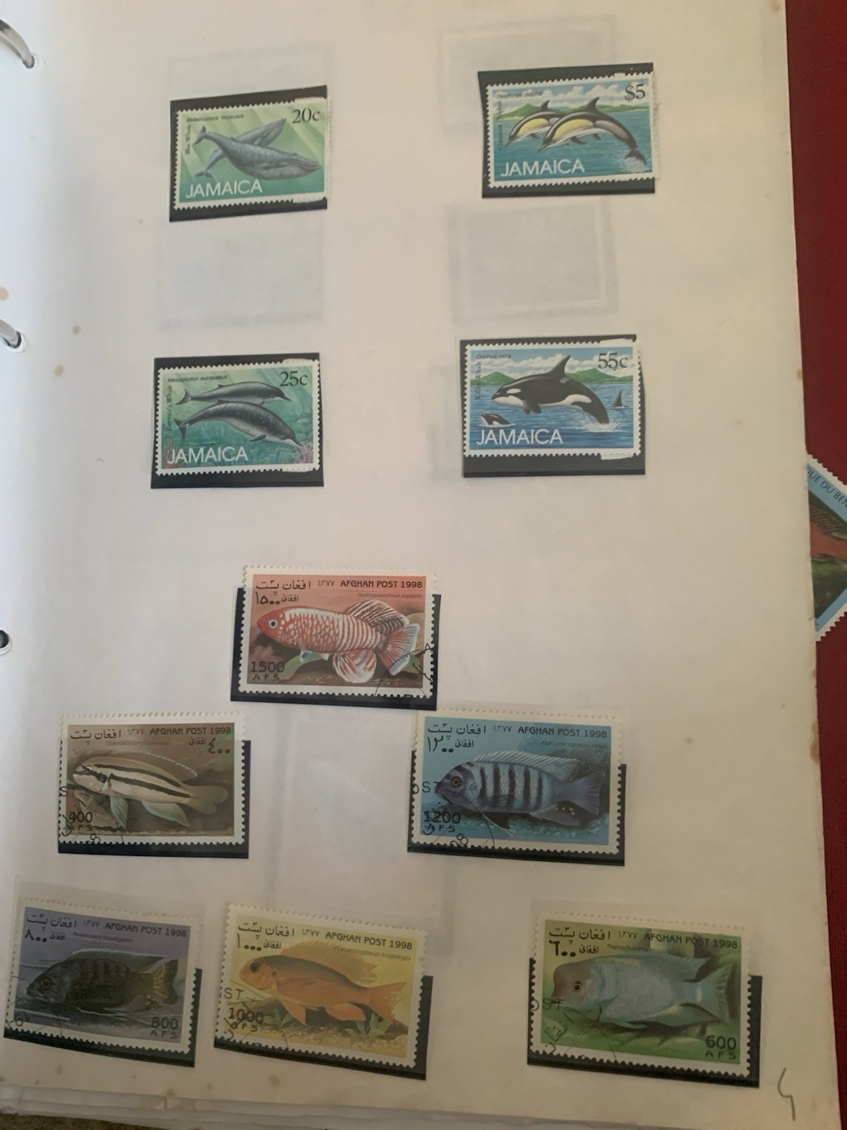 Picture 20 of 24
