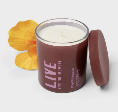 #ad Live For The Moment Paradise Hibiscus Jar Candle 12oz NEW $19.99