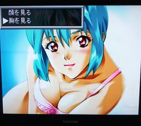 Girl Doll Toy Sega Saturn SS Japan Import Used Tested with Case