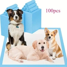 100Pcs Super Absorbent Pet Urine Pads for Dogs Cats Puppy Potty Training Travel