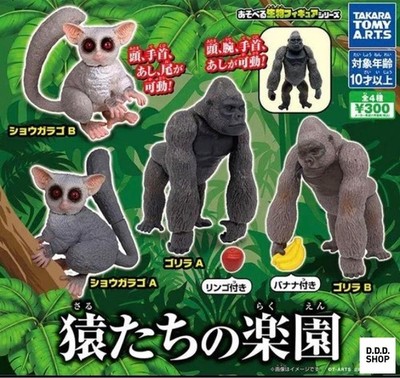 Spielbare Kreatur Figuren Serie Primatenparadies Komplettsatz 4 Gashapon