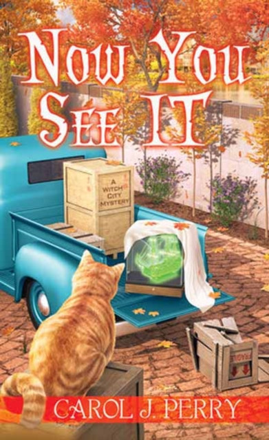 Now You See It by Carol J. Perry (Paperback Book)