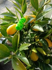 1:1 balun line isolator choke  200w balun