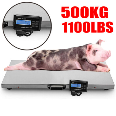 1000lbs Animal Scale Stainless Platform Scales for Hogs Goat Sheep Alpacas Pig