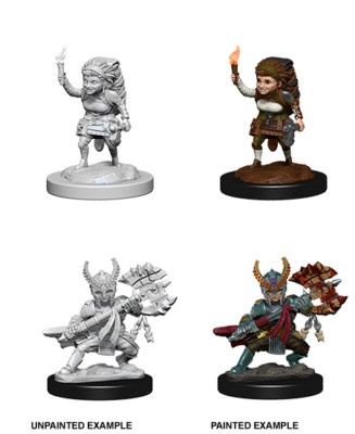 D&D Nolzur's Marvelous Unpainted Miniatures: Female Halfling Fighter