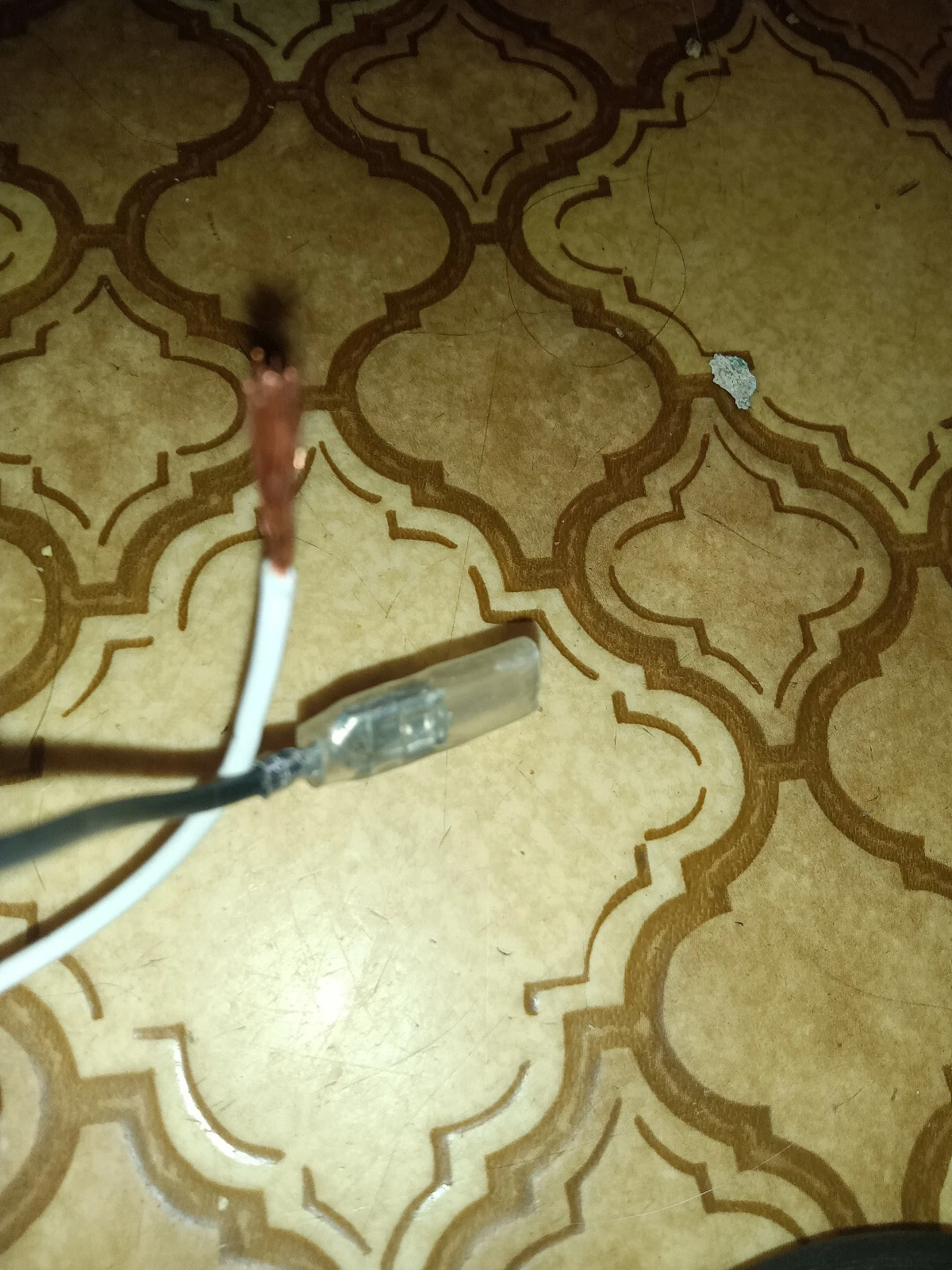 Imagen 5 de 5