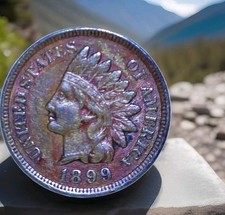 1899 Indian Head Cent - Beautiful Purple Toning - Circulated