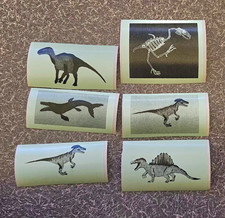 Lot of 6 Dinosaur Stickers/Decals, Multicolor Assorted Designs incl. Skeleton