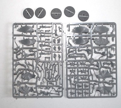 Warhammer 40k - Dark Eldar - Drukhari - 5x Scourges Sprue #A