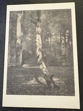 art card gallery invite Frederick H Evans Logical Perfection photography 2008