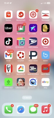 Iphone 12 pro max with tiktok