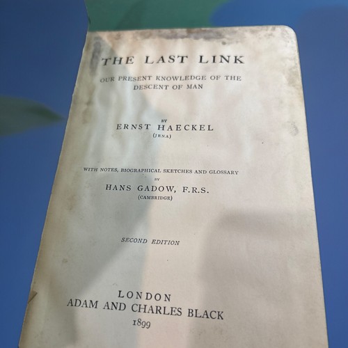The Last Link by Ernst Haeckel (1899) 2nd. Edition Evolution and Descent of Man - Picture 2 of 6