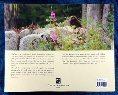 Vancouver Island Marmot: World's Rarest Marmot (& Rare Book!) Babault 2022 Photo - Picture 2 of 4