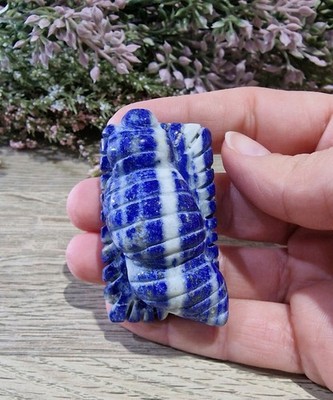 Lapislazuli Kristall Muschel geschnitzt Schnitzerei Reiki Heilung 77g