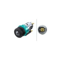 Hella ZigarettenanzüNder 8EZ 008 021-011 FüR AuwÄRter Iveco MAN Scania VAN Hool