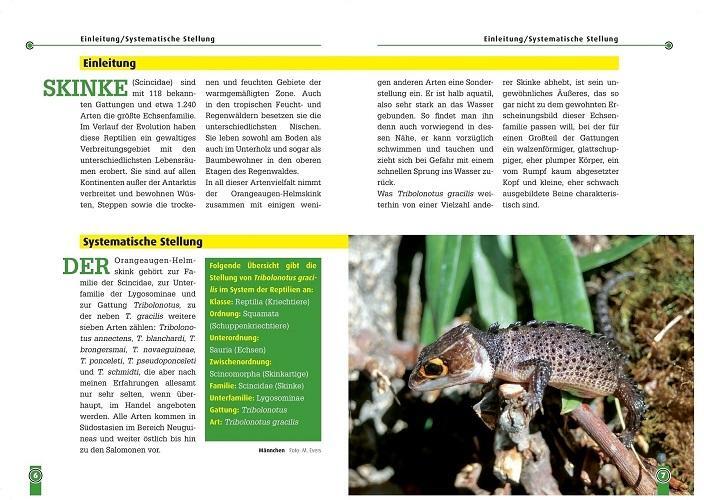 Thumbnail - Der Orangeaugen-helmsink Michael Evers