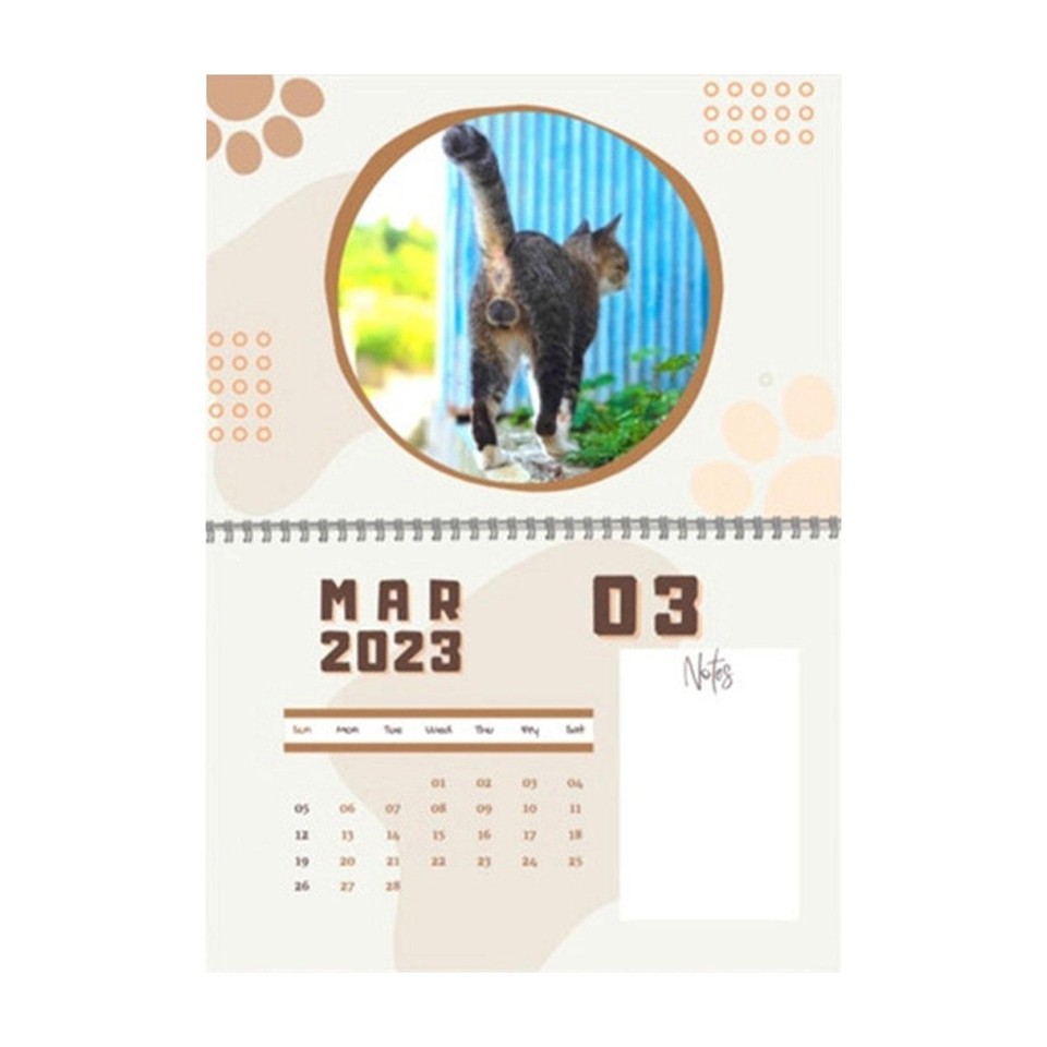 Cats Buttholes Calendar 2023 Funny Cat Balls Calendar Wall Calendar Gifts |  eBay
