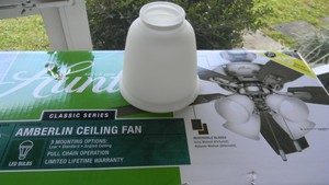 Hunter Amberlin Ceiling Fan Replacement Glass Globe Shade For