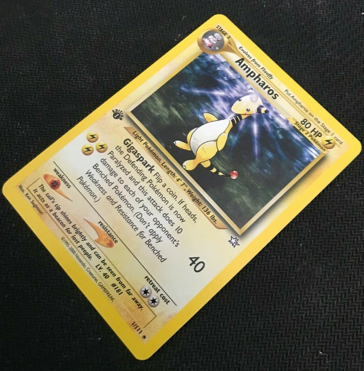 Foto 5 di 8
