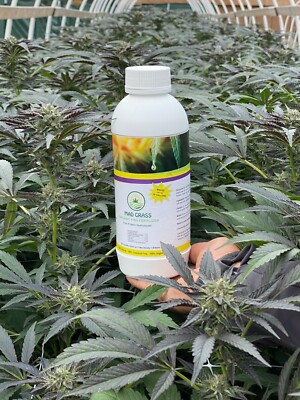 Organic Fish Fertilizer - For Hemp: That is Less Than $.56 Per Gallon ! |  eBay