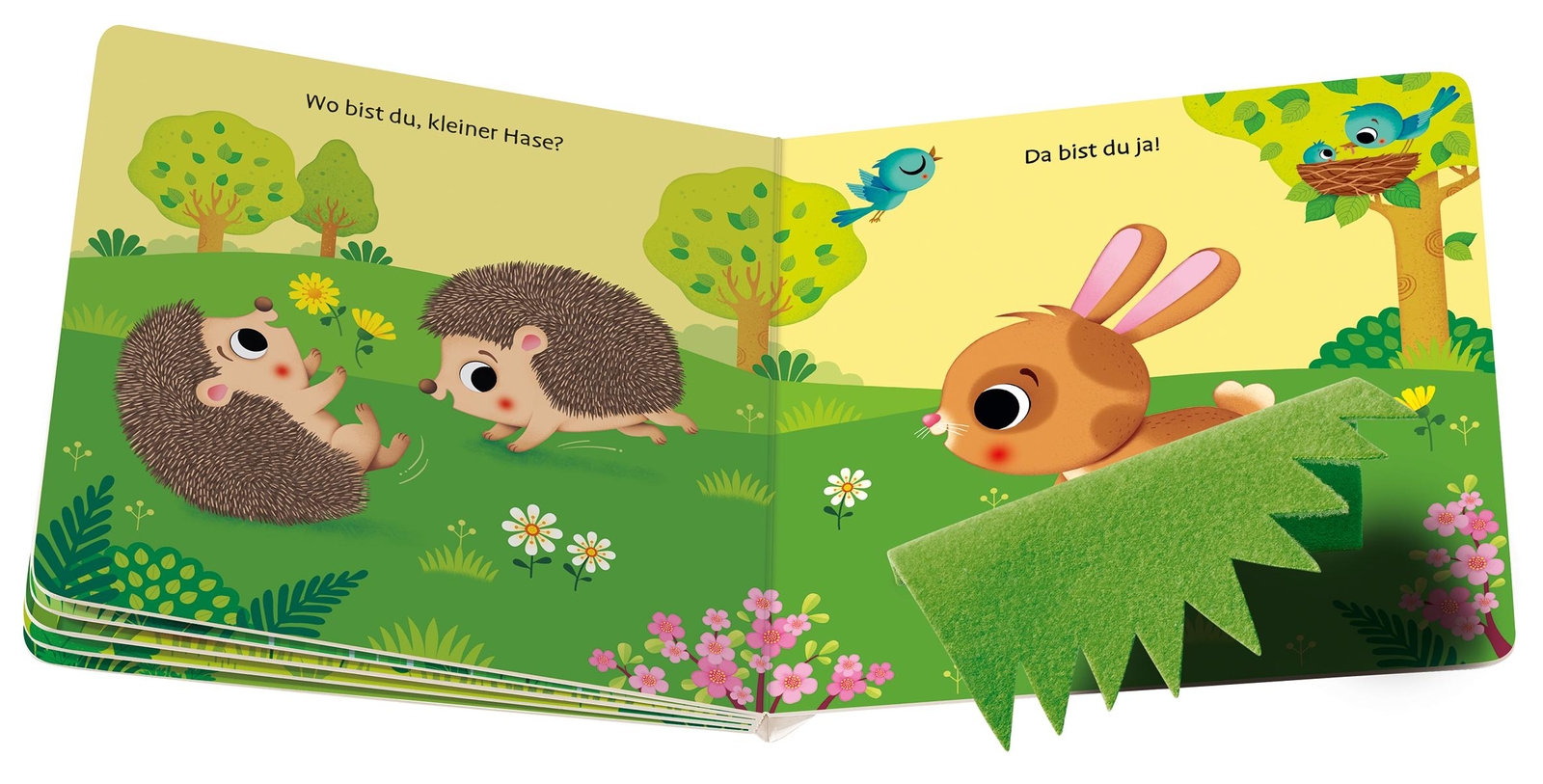 Thumbnail - Mila Rulff Wo Bist Du, Kleiner Hase? 9783473418398