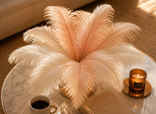 x9 Luxury Pastel Ostrich Feathers