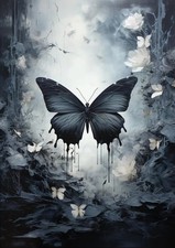 Beautiful Butterfly Diamond Art Kits for Adults-Full Drill Diamond Dots Pai