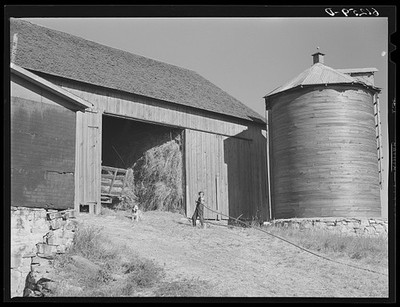 Door County Wisconsin 1940 Hay Loading Barn Loft Pulley Team of Horses