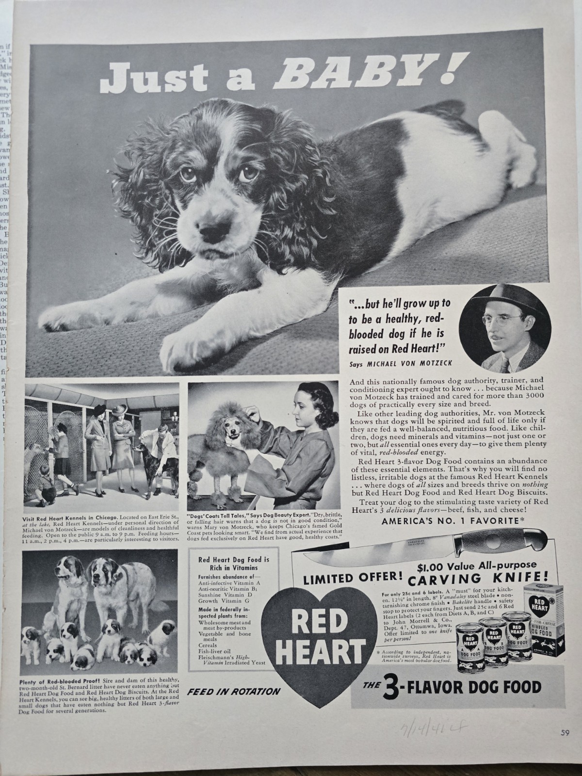 Spaniel Poodle St. Bernard Litter Vintage Ad
