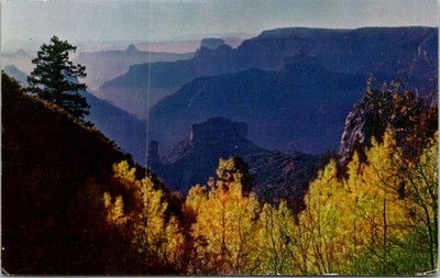 Grand Canyon National Park, Arizona Vintage Postcard Wpc10