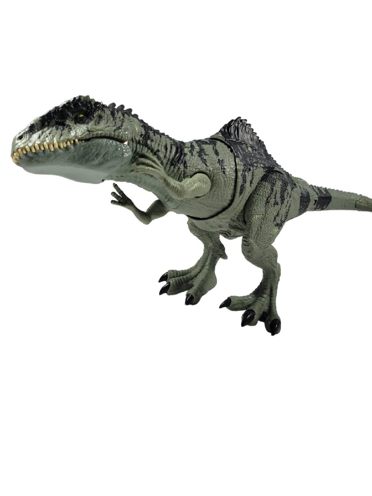 Jurassic World Dinossauro - Giganotosaurus - GYC94 - Mattel - Real  Brinquedos